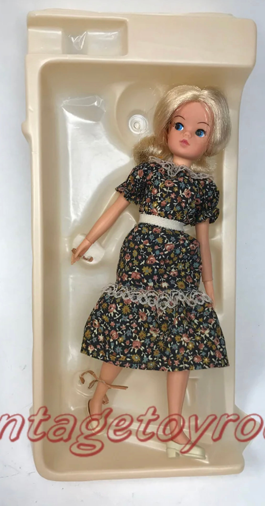 Sindy Doll Set From the Sindy Collection