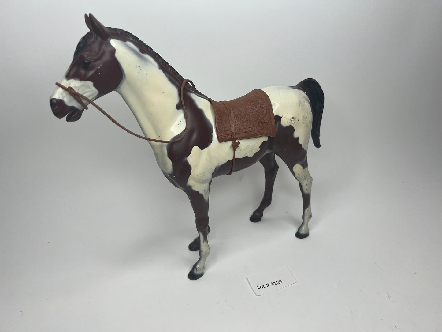 Storm Cloud Pinto Indian Horse!