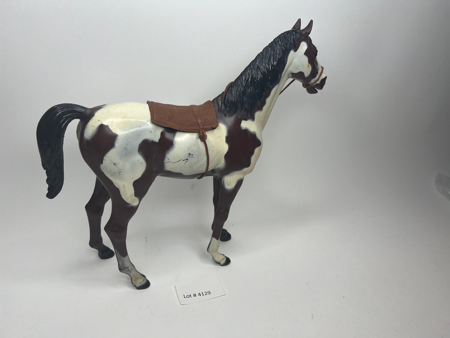 Storm Cloud Pinto Indian Horse!