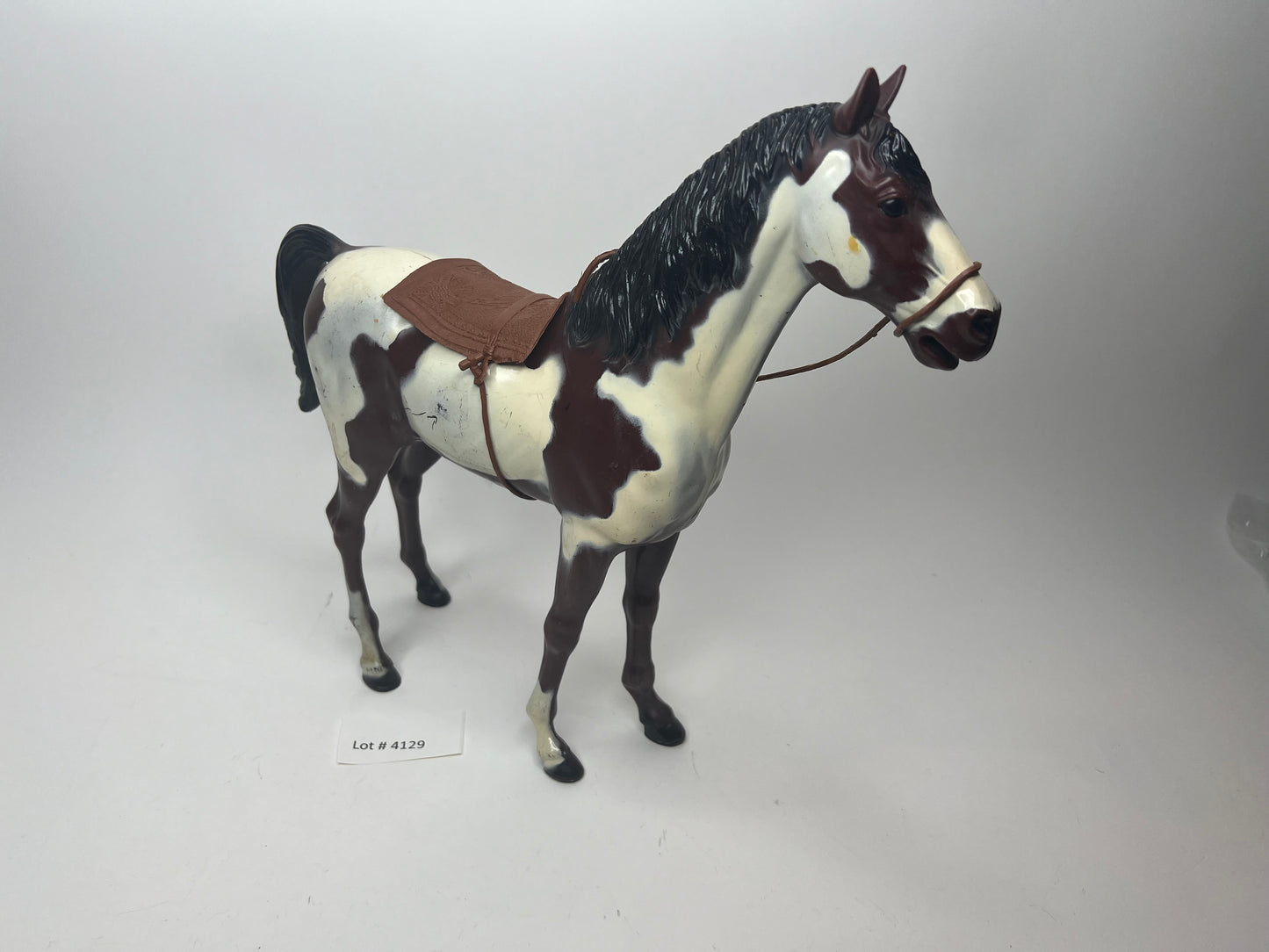 Storm Cloud Pinto Indian Horse!